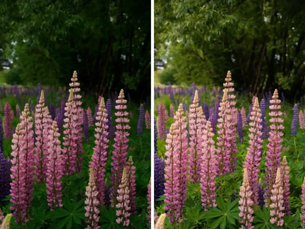 SIGNATURE PRESETS 15