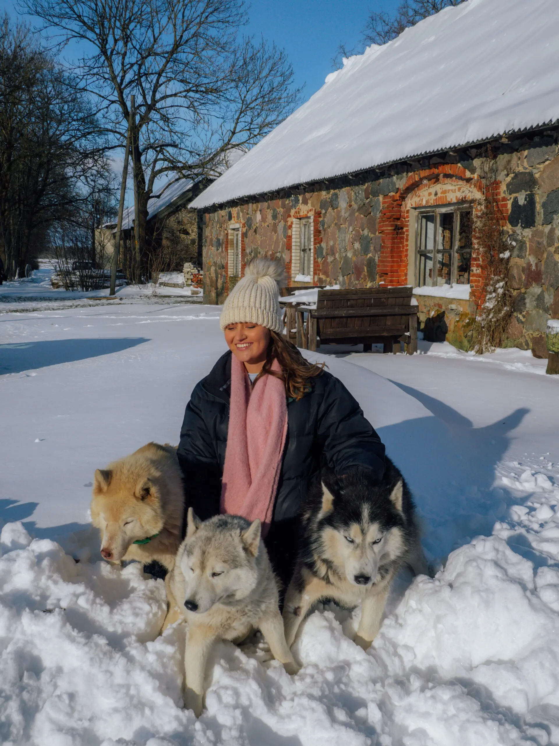 the perfect weekend in tallinn estonia travel guide - husky park