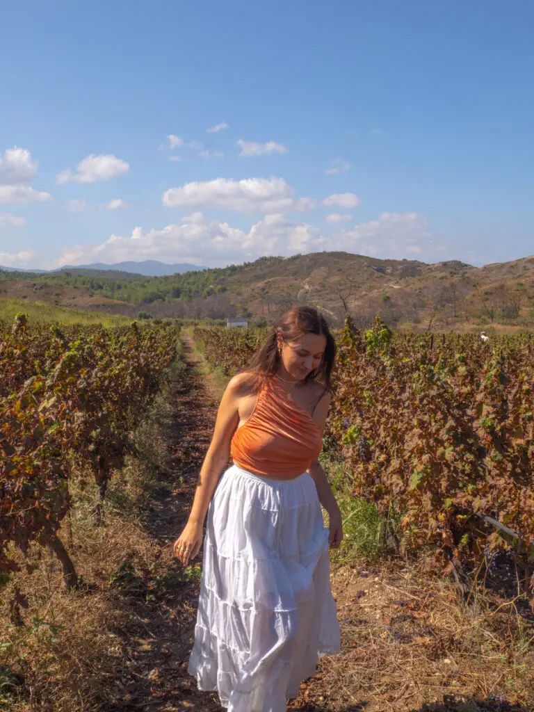 RHODES WINE TASTING