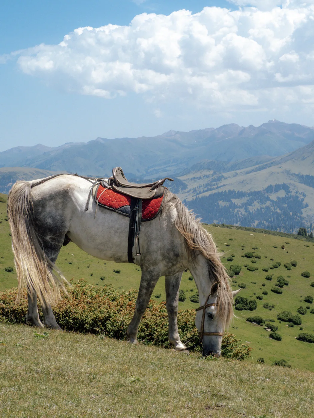 KYRGYZSTAN ITINERARY: THE PERFECT 2 WEEK TRIP - She Travelled the World